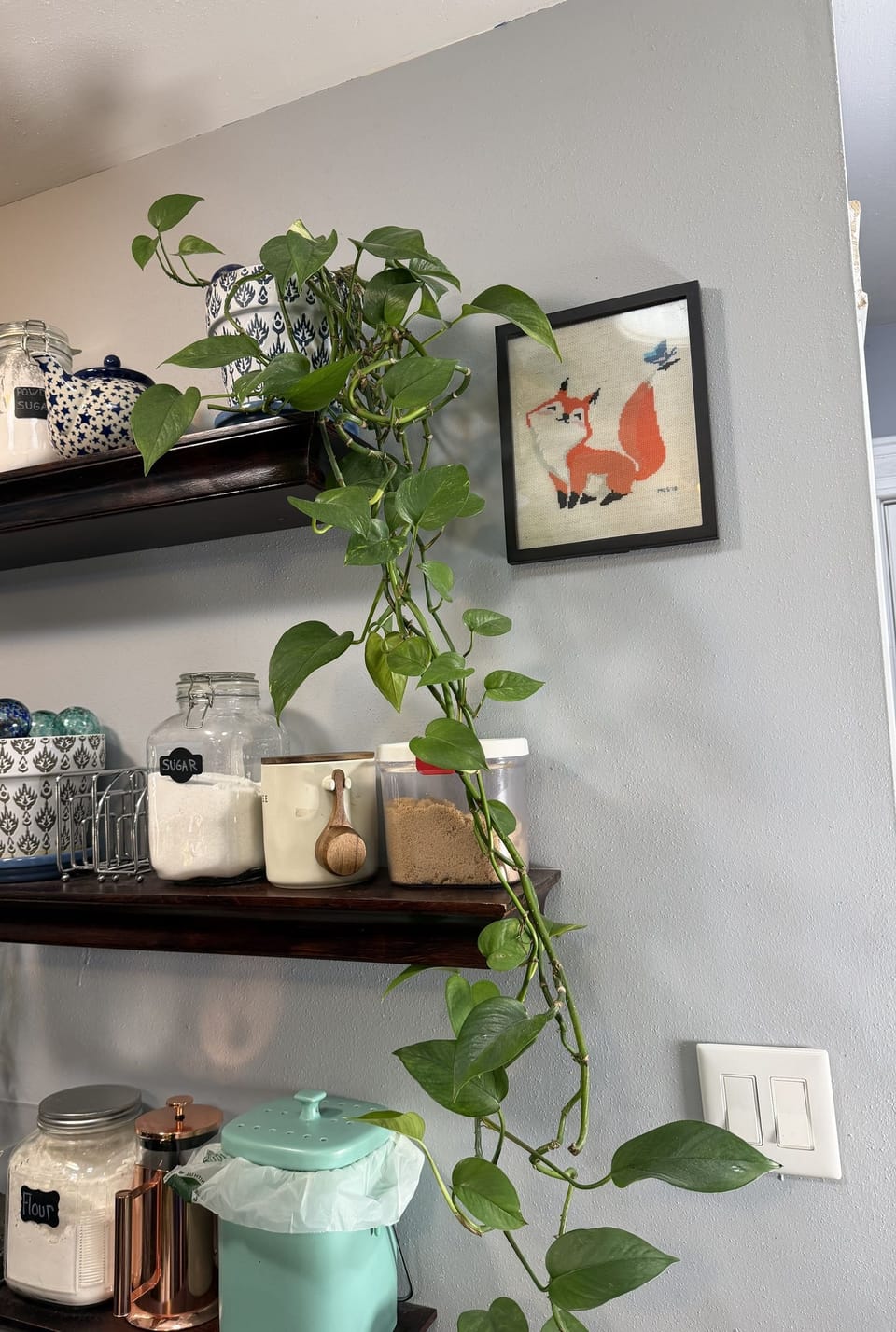 A pothos in a blue and white pot trailing from the top kitchen shelf past the canisters, a cross-stitched fox on the wall beside it
